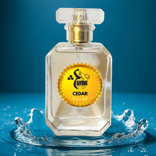 Cedar - Grounded Elegance with Timeless Charm - Paarfume